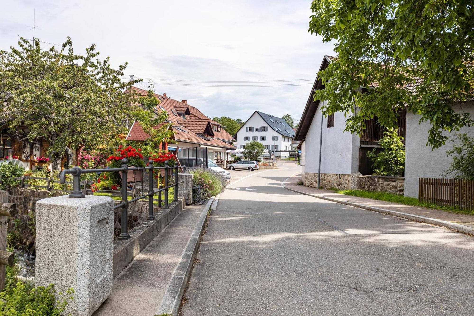Ferienhaus Muelhaupt Ühlingen-Birkendorf Exterior foto